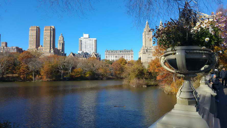 NYC_2017-11-23 11-23-59_CELL_20171123_112359